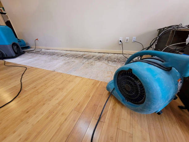 Reliable Basement Flood Cleanup contractor in Bristolville, OH by Hirex Water Damage