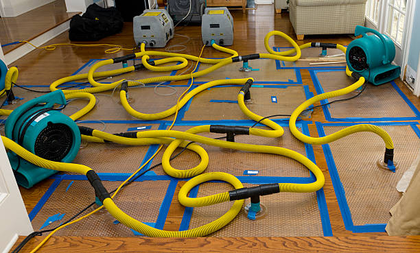 Professional Basement Flood Cleanup technician working in Bristolville, OH